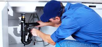 Best 24/7 Emergency Plumbing Services  in Raceland, KY